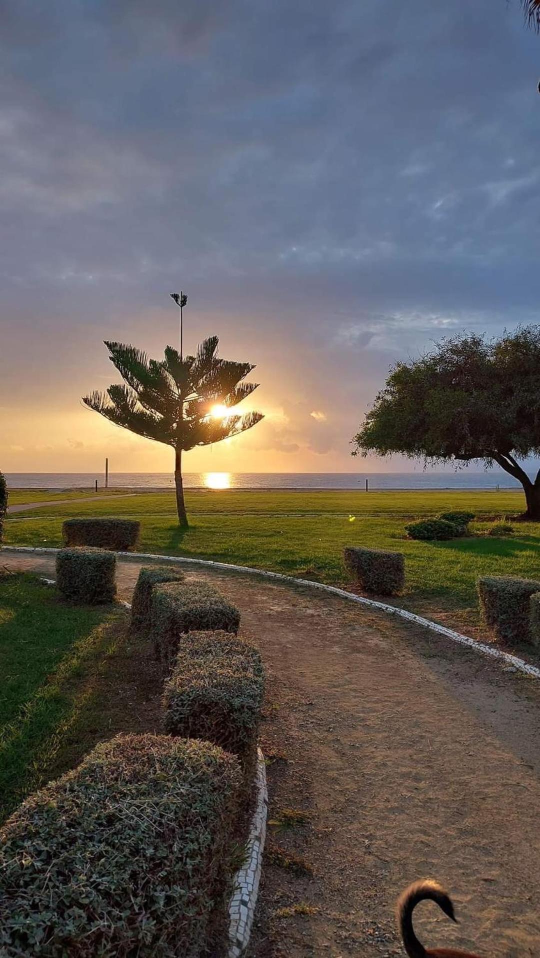 Apartamento Magic World Nueva Marina D'Or 2 Dormitorios Edificio Torremar Oropesa del Mar Eksteriør billede
